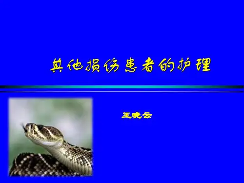 蛇咬伤患者的护理 PPT课件