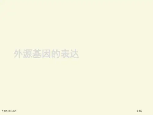 外源基因的表达