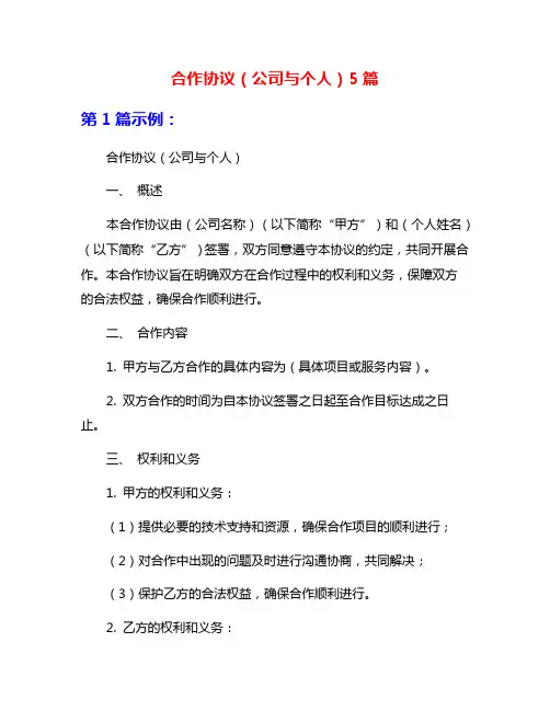 合作协议(公司与个人)5篇