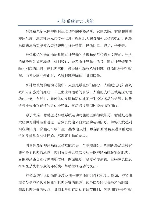 神经系统运动功能