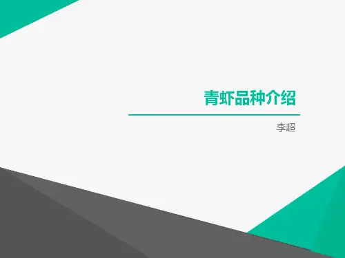 青虾养殖技术介绍