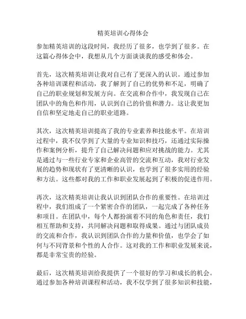 精英培训心得体会
