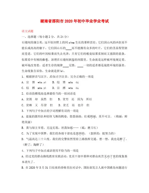 湖南省邵阳市2020年中考语文真题试题(含答案)