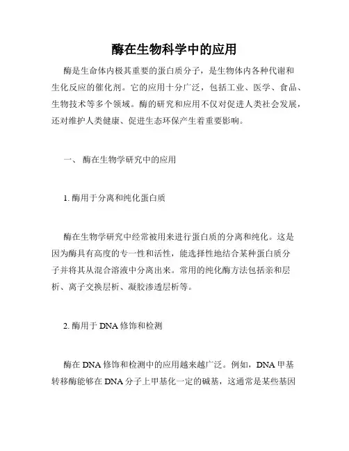 酶在生物科学中的应用