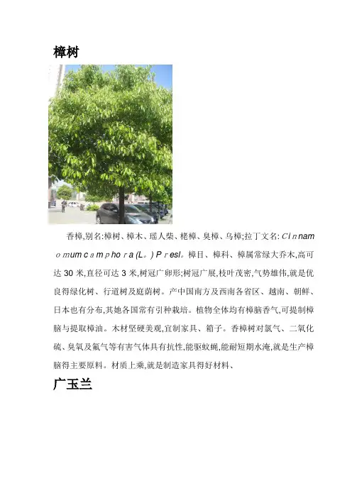 园林绿化常用乔木、灌木