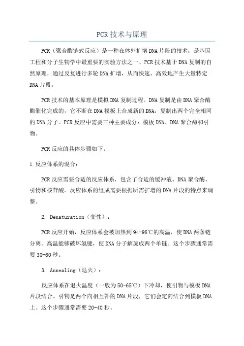 PCR技术与原理