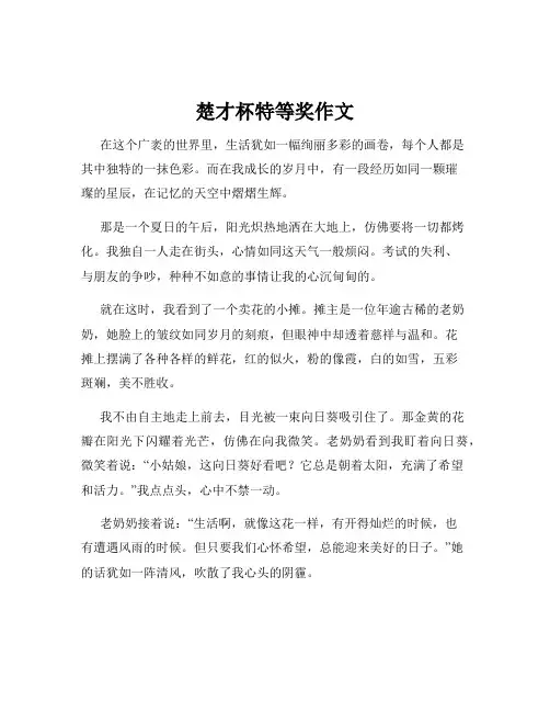 楚才杯特等奖作文