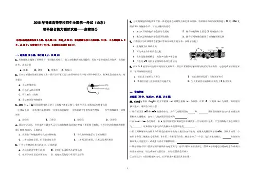 (精编精校)2008年普通高等学校招生全国统一考试(山东卷)理综生物 【word精析版】