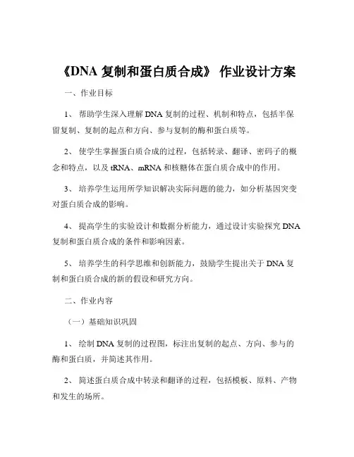 《DNA 复制和蛋白质合成》 作业设计方案