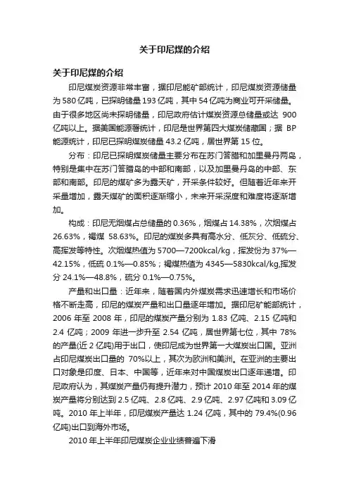 关于印尼煤的介绍