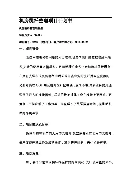 机房跳纤整理项目计划书