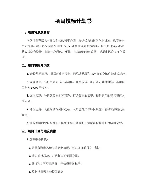 项目投标计划书