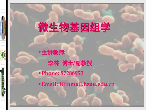 第01讲微生物基因组学102页PPT