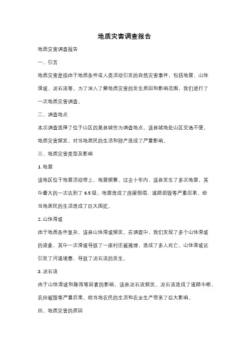 地质灾害调查报告