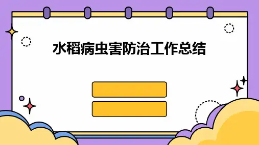 水稻病虫害防治工作总结PPT