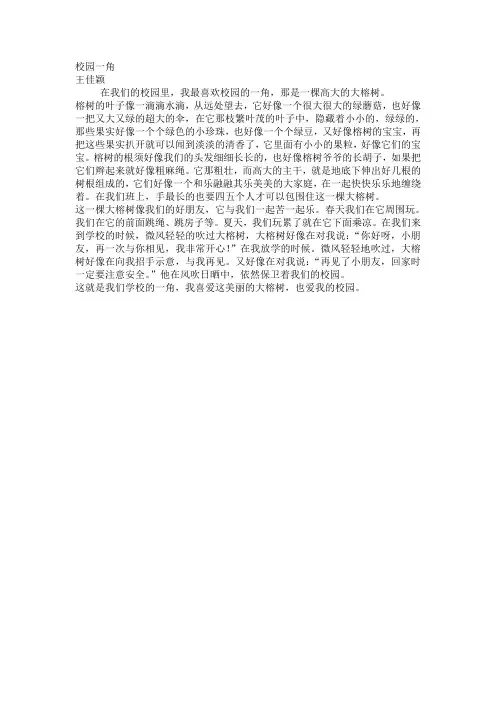校园一角