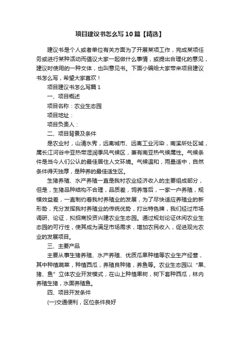 项目建议书怎么写10篇【精选】