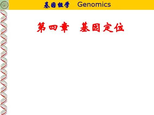 基因定位
