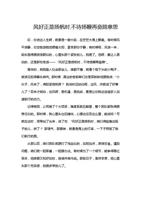 风好正是扬帆时,不待扬鞭再奋蹄意思