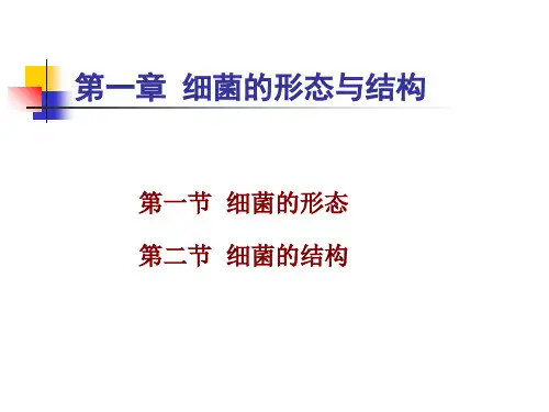 第一章细菌的形态和结构
