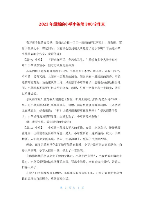 2023年最新的小草小练笔300字作文