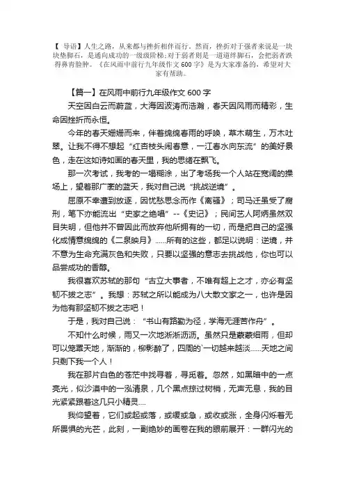 在风雨中前行九年级作文600字