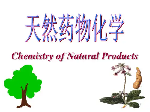 第三章 苯丙素类化合物PPT课件