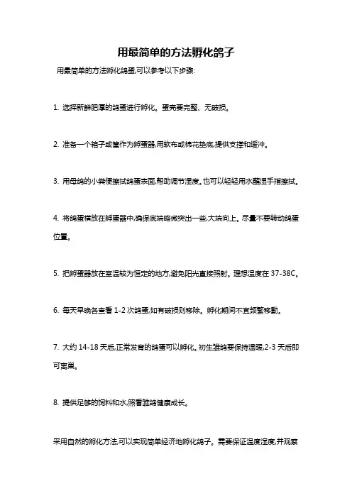 用最简单的方法孵化鸽子