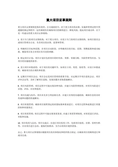重大项目议事规则