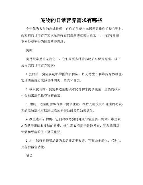宠物的日常营养需求有哪些