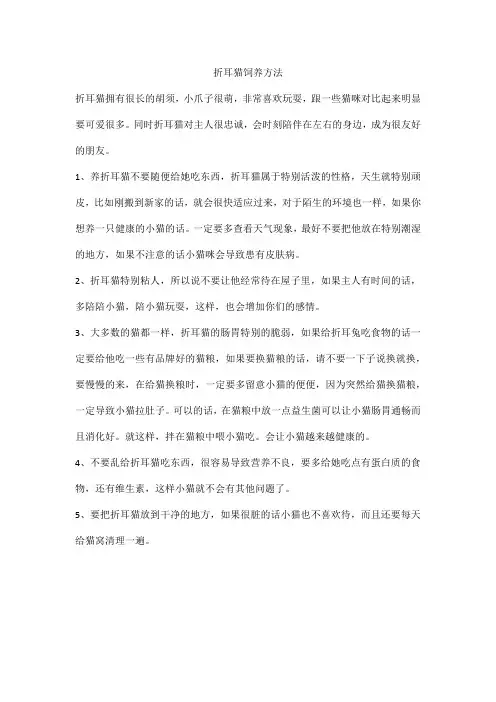 折耳猫饲养方法