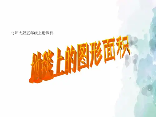 北师大版-数学-五年级上册-《图形的面积》【地毯上的图形面积】课件