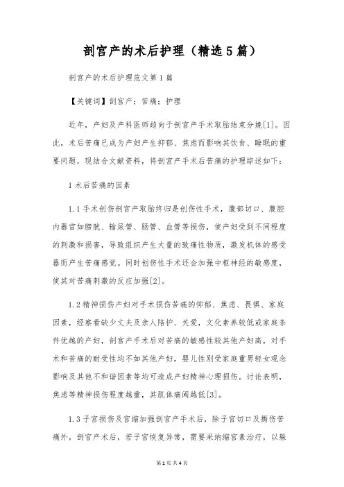 剖宫产的术后护理(精选5篇)