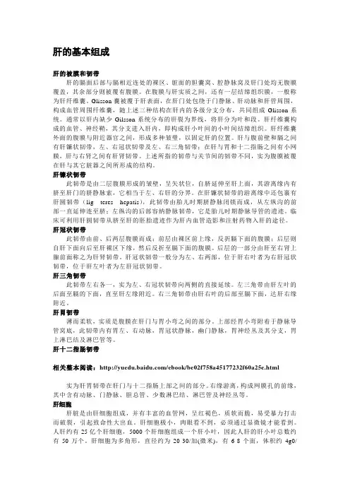 【肝病】肝的组成和功能