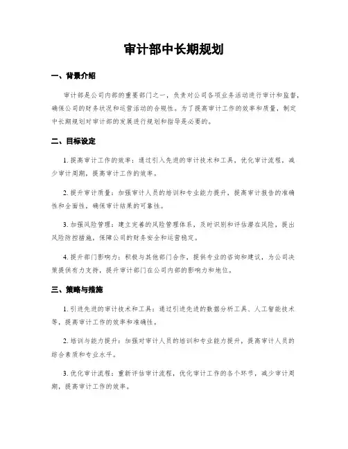 审计部中长期规划