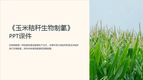 《玉米秸秆生物制氢》课件
