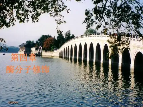 酶分子修饰ppt课件