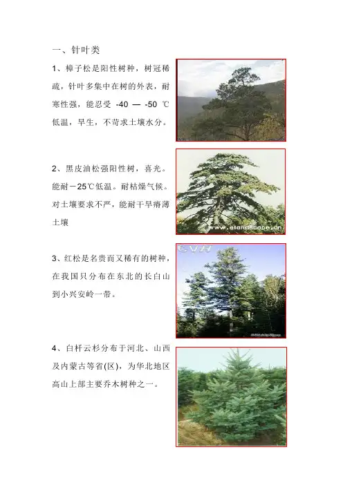 北方常见耐寒植物