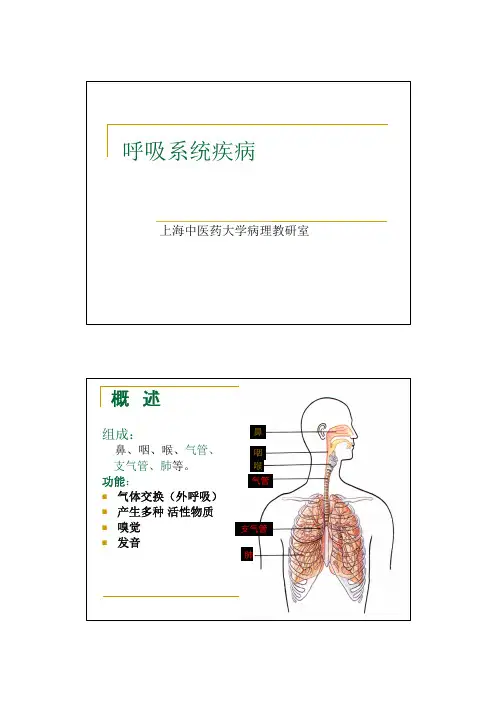 中医《病理学》资料-呼吸系统疾病