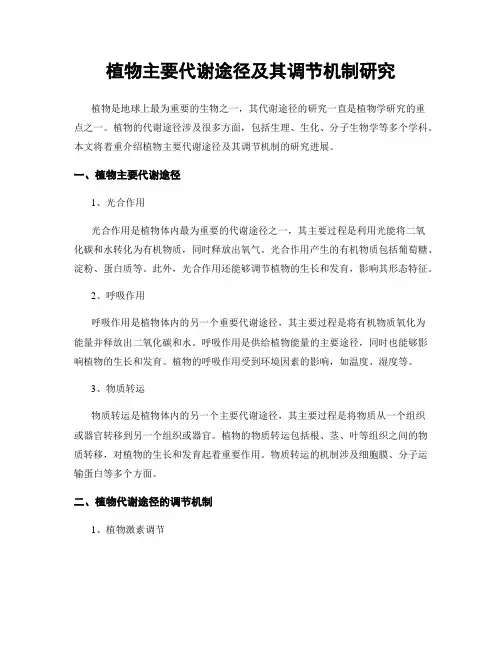 植物主要代谢途径及其调节机制研究