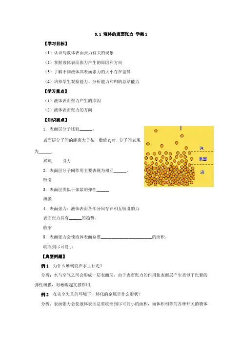 高二物理选修学案：《液体的表面张力》