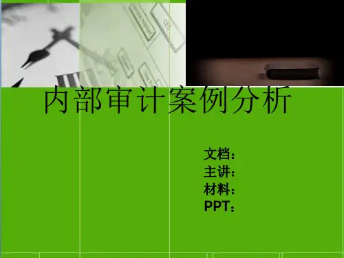 内部审计案例分析3