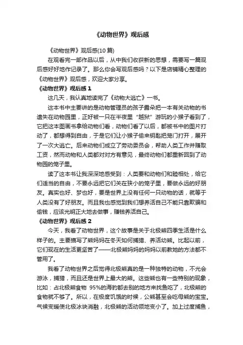 《动物世界》观后感