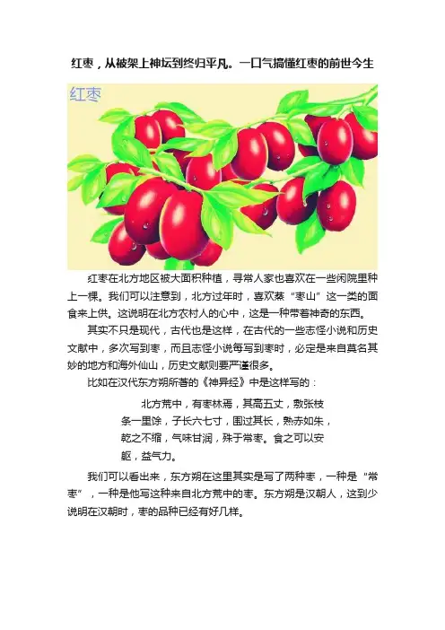 红枣，从被架上神坛到终归平凡。一口气搞懂红枣的前世今生