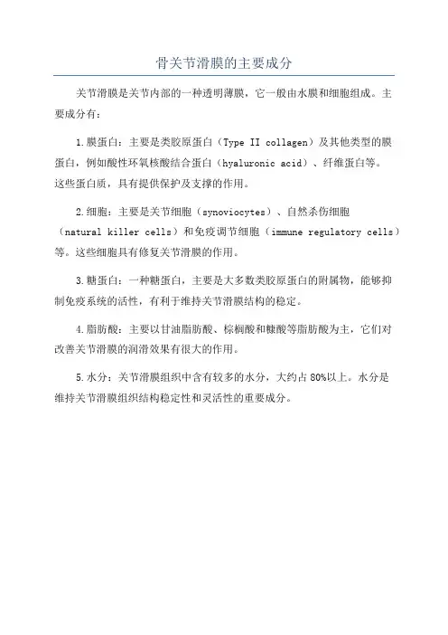 骨关节滑膜的主要成分