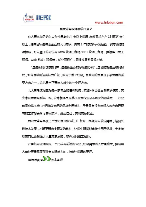 北大青鸟软件都学什么？