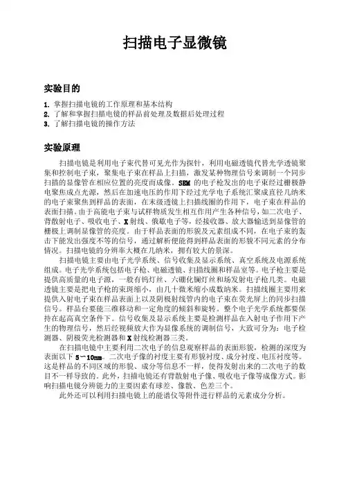 SEM扫描电镜