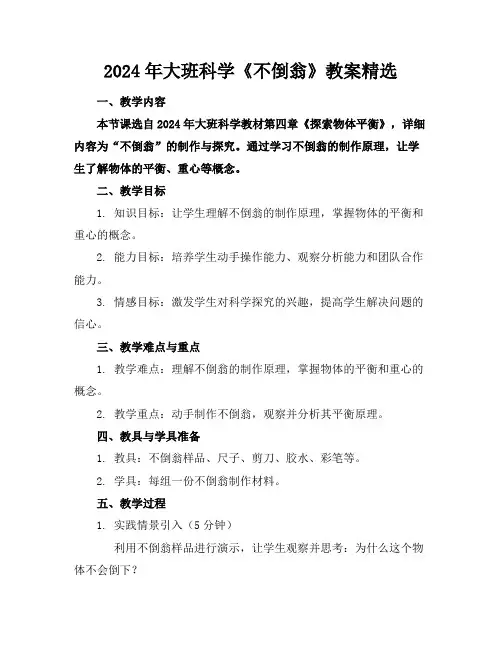 2024年大班科学《不倒翁》教案精选