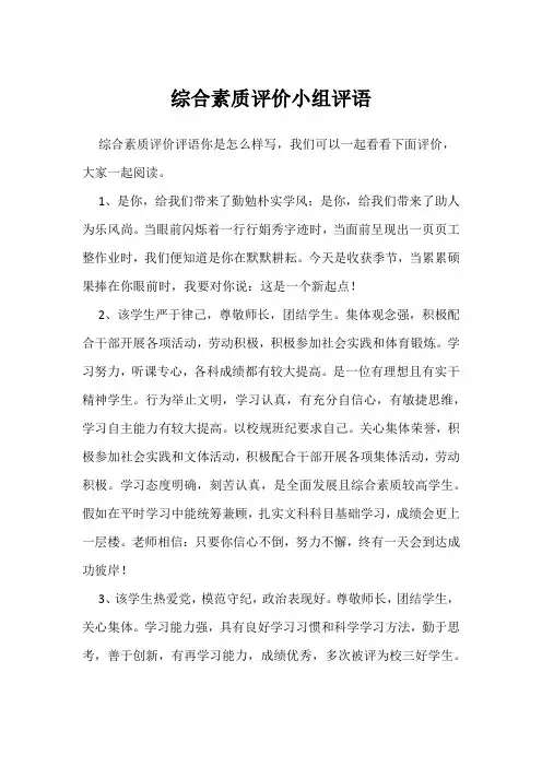 综合素质评价小组评语
