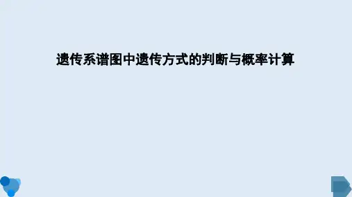 高三生物一轮复习课件遗传系谱图中遗传方式的判断与概率计算